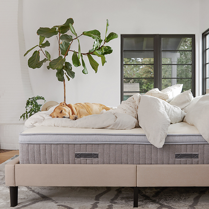 Awara mattress